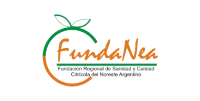 Logo FUNDANEA